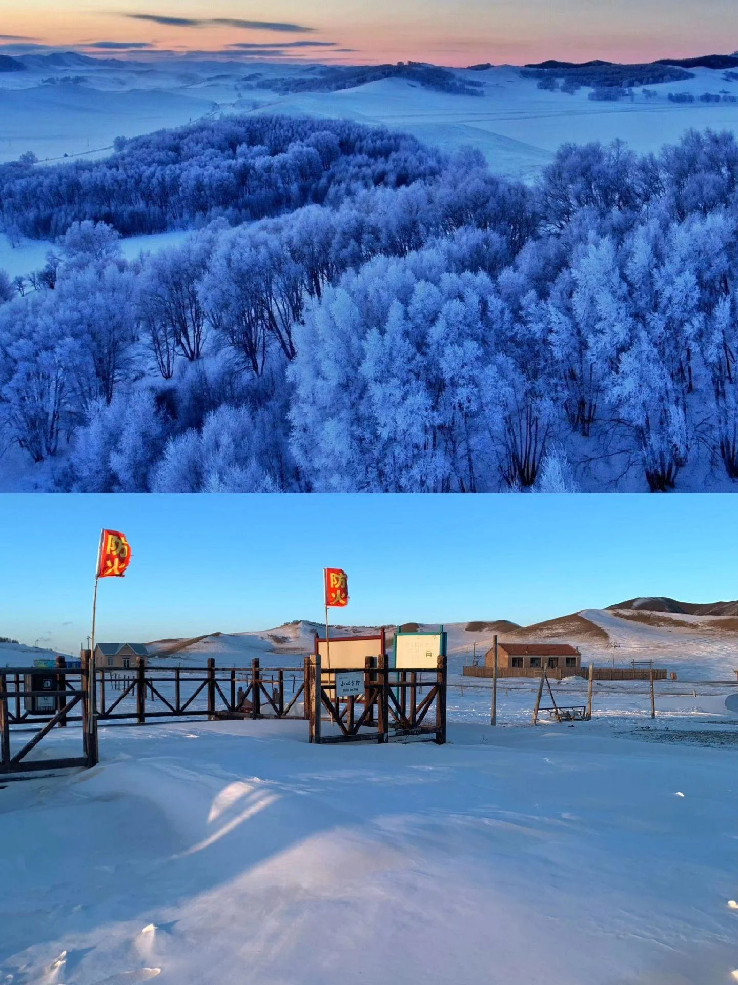 乌兰布统📍听说林海雪原可以治愈一切