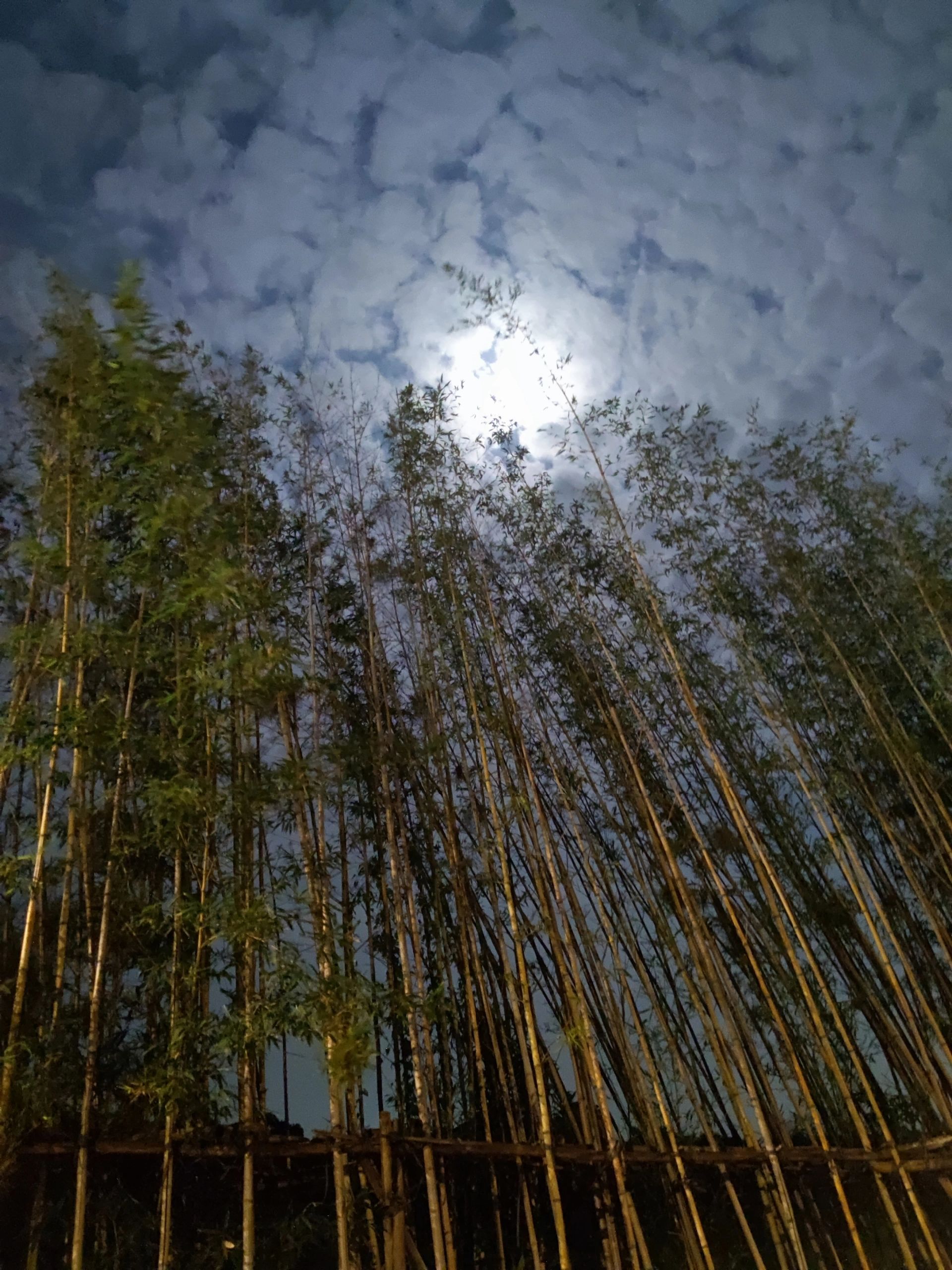 记录一下今年第一次露营🏕️