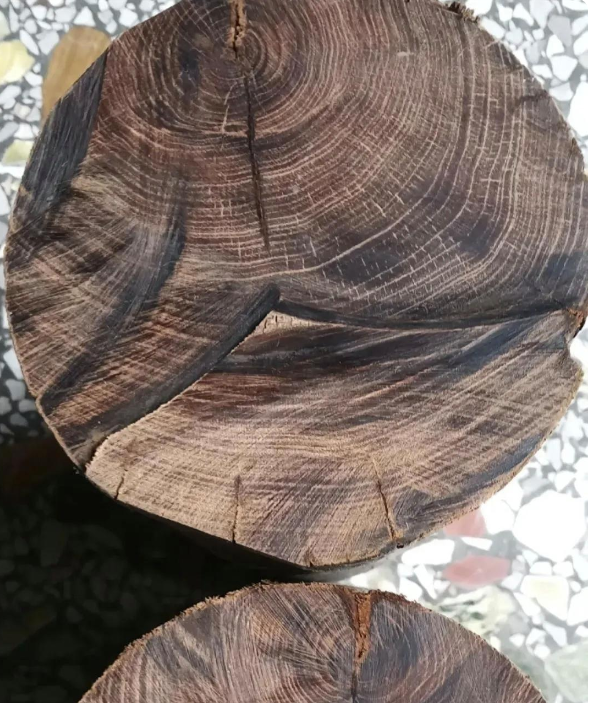有位村民打算用木头烧炉子，意外发现锯一根老木料时，合金锯片竟然冒出火花。费了好大