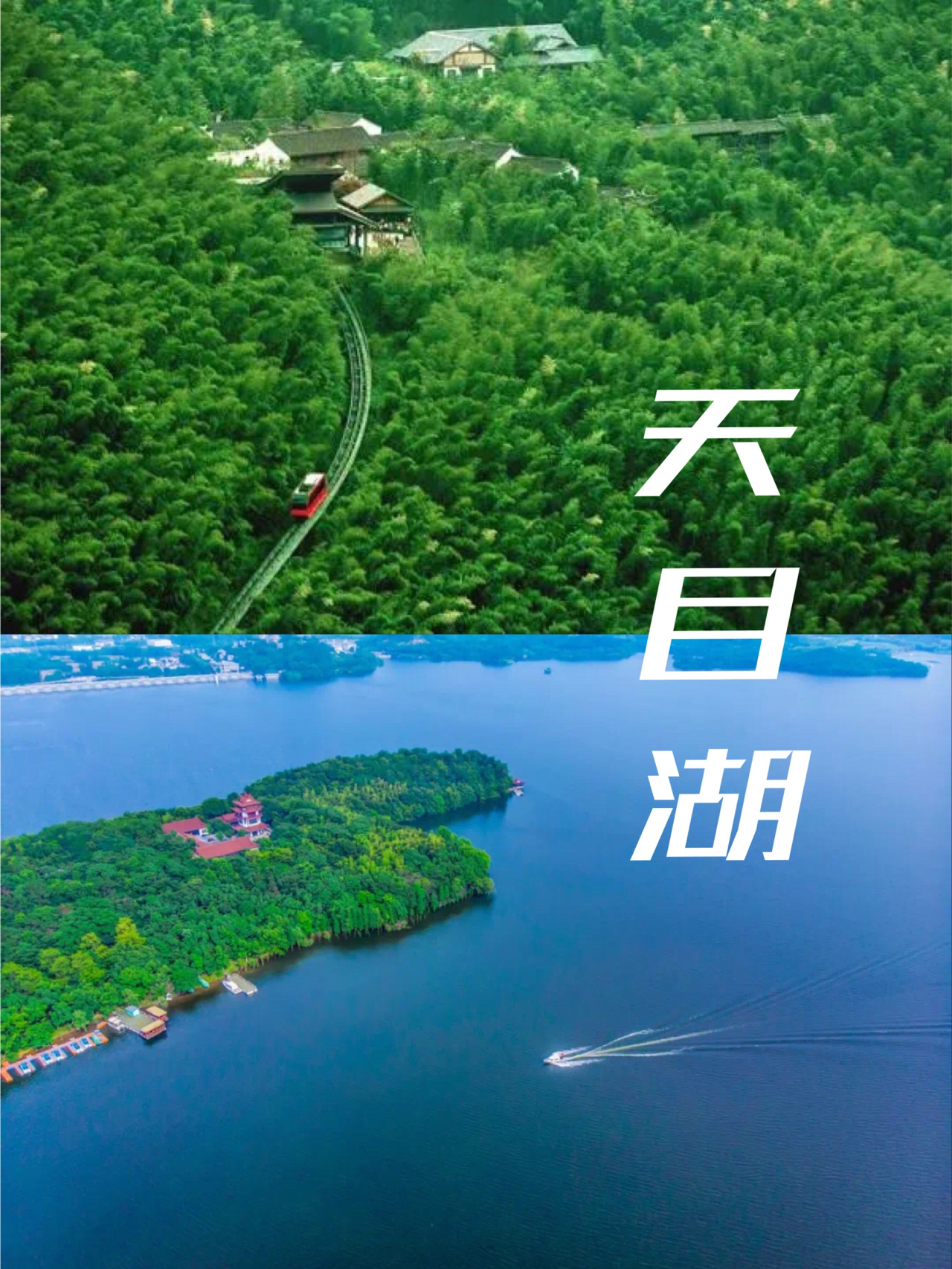 南京驱车2h，赏清幽竹海，太美啦