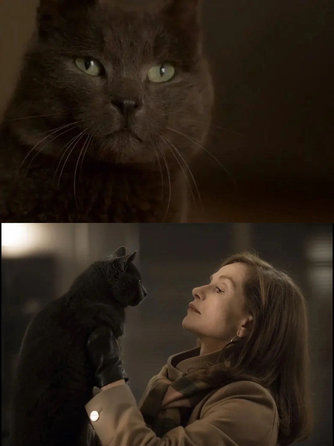 欧洲惊悚片！应该如何诠释