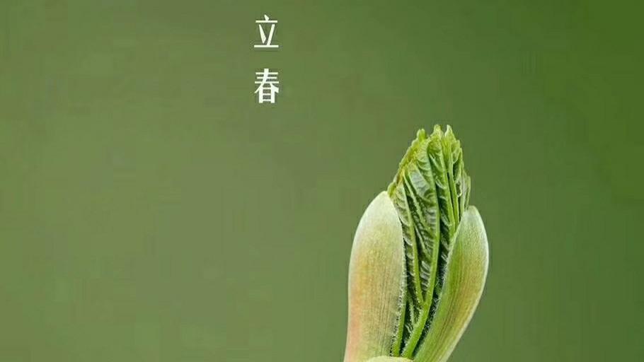 腹泻|立春调一调，养生早知道