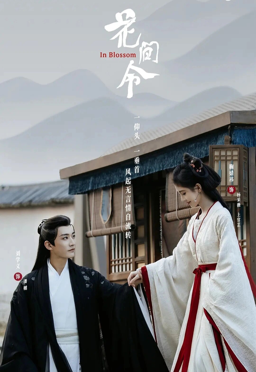 悬疑探案，仵作少女+心机美男!颜值超高