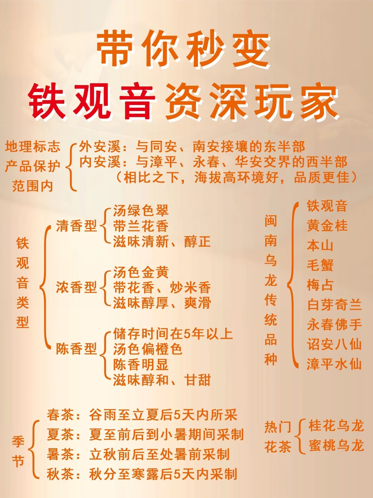 一文读懂铁观音#铁观音#