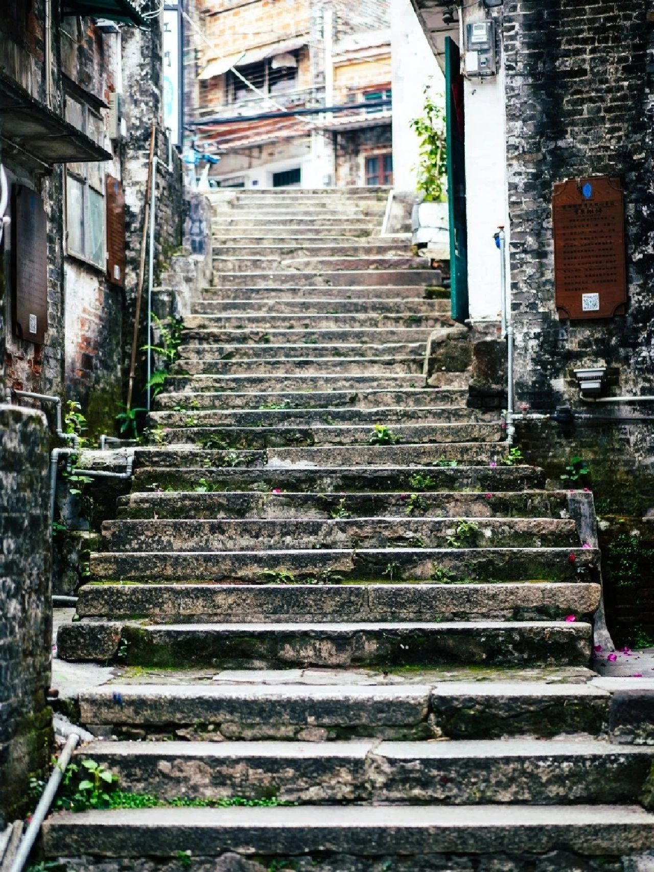 深挖《狂飙》同款取景地｜江门美景美食遍地