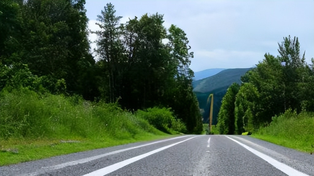 它们是什么！那些你赔不起的马路设施，情愿撞豪车也不要碰它！