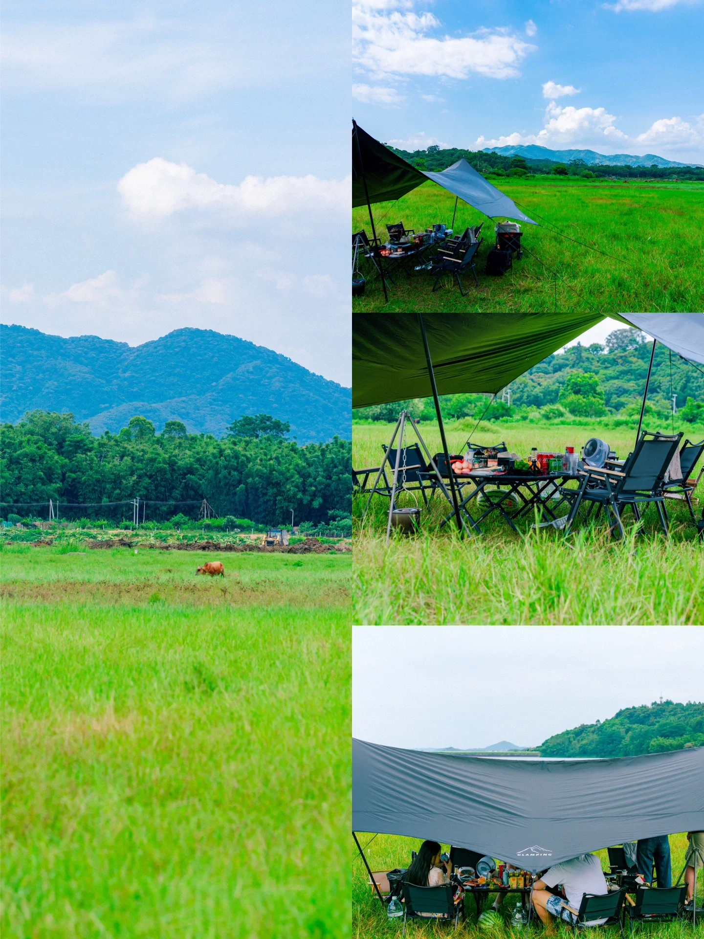 夏日露营| 在没有天花板的地方看时光流淌