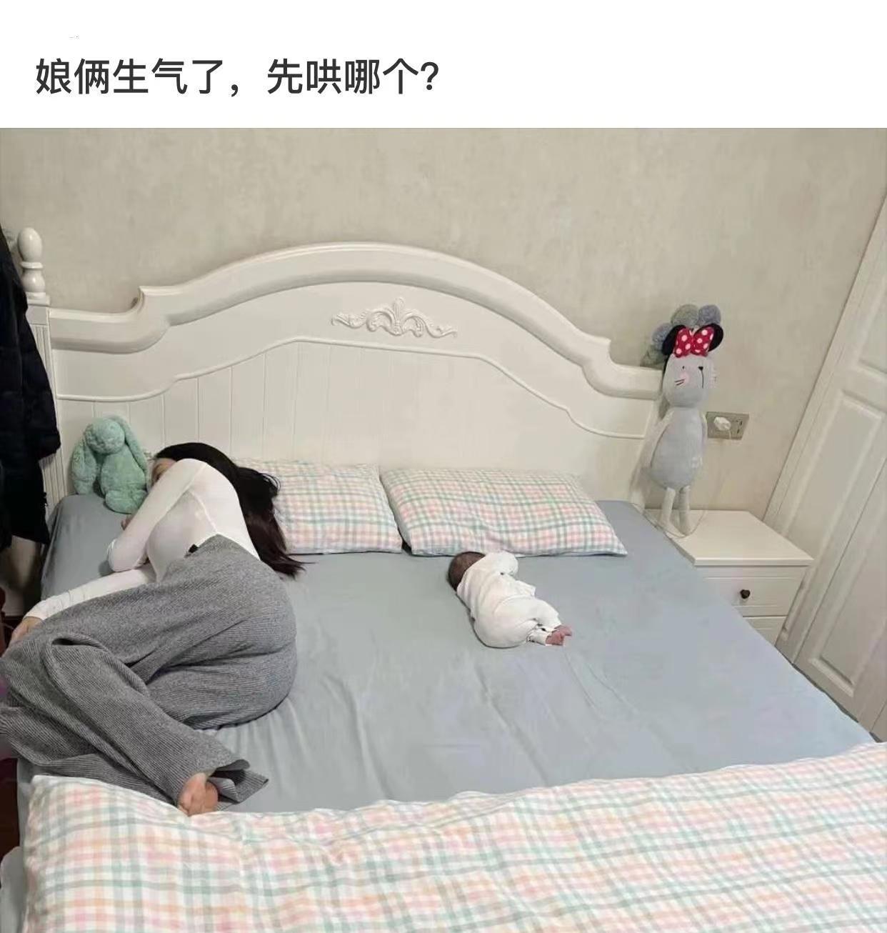 
网友一回家就看到如此场景，这是两个人闹不和了？该先哄哪一个？
