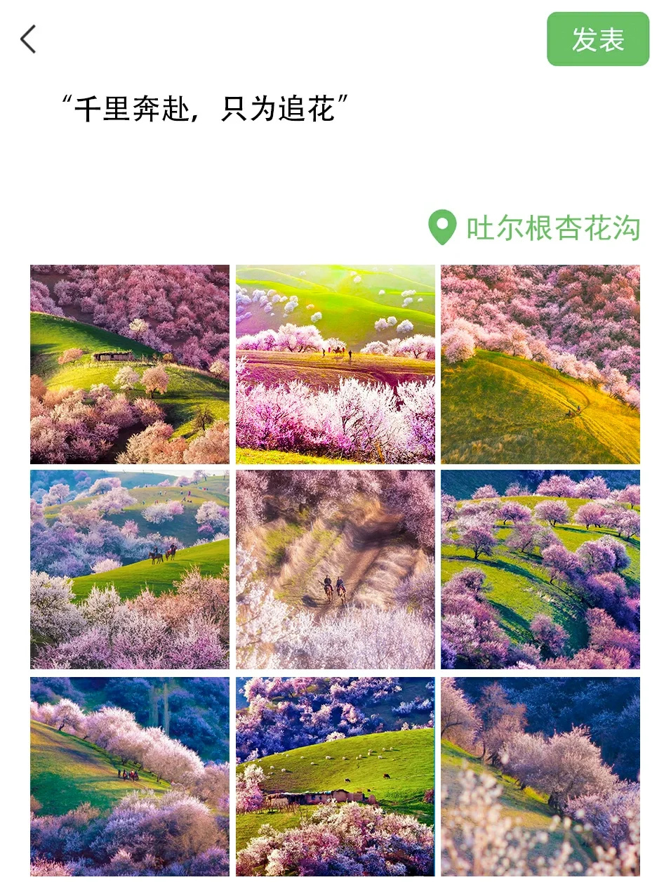 只是去了趟新疆，回来朋友圈就被拉黑了😂