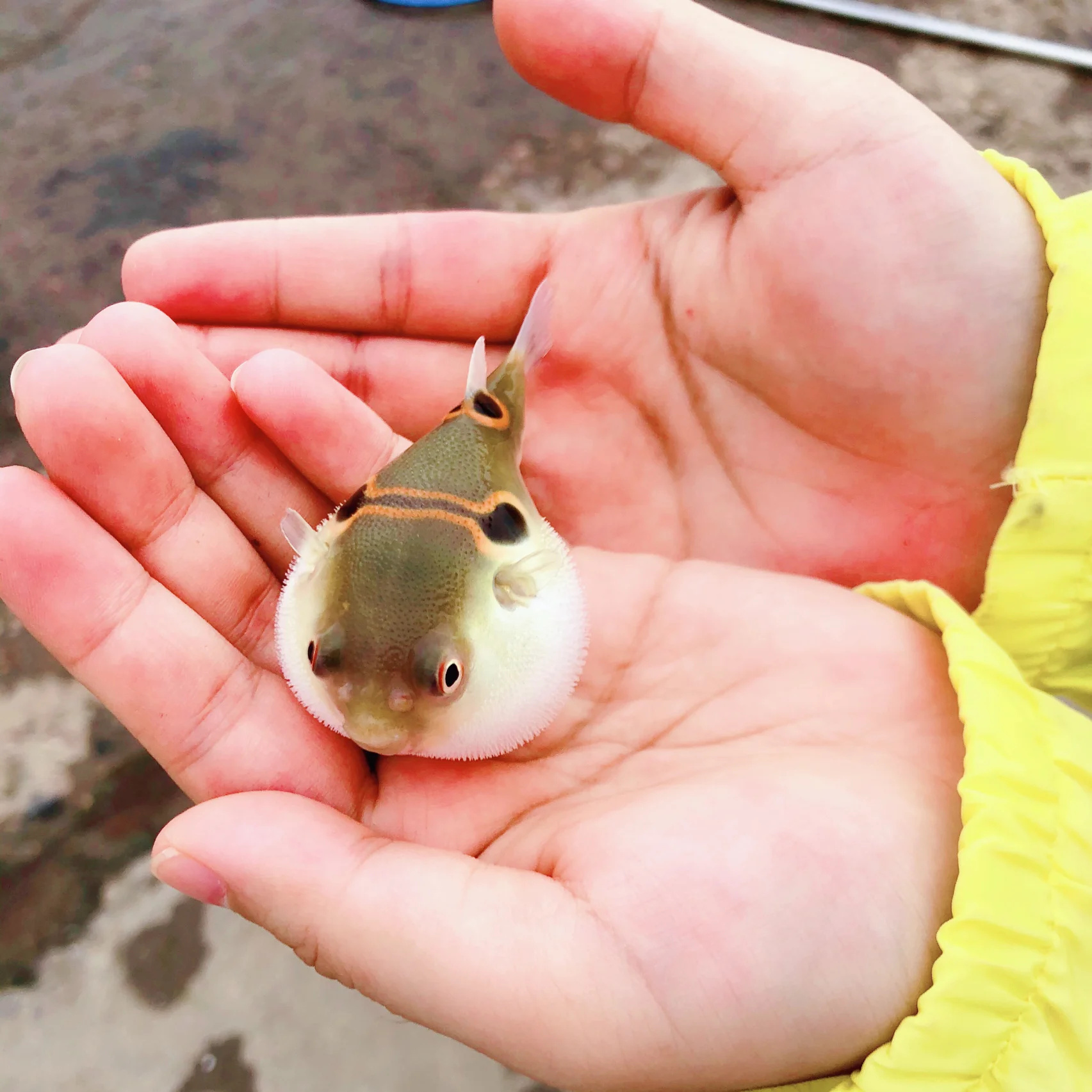 三水西南北江大堤北岸渡口