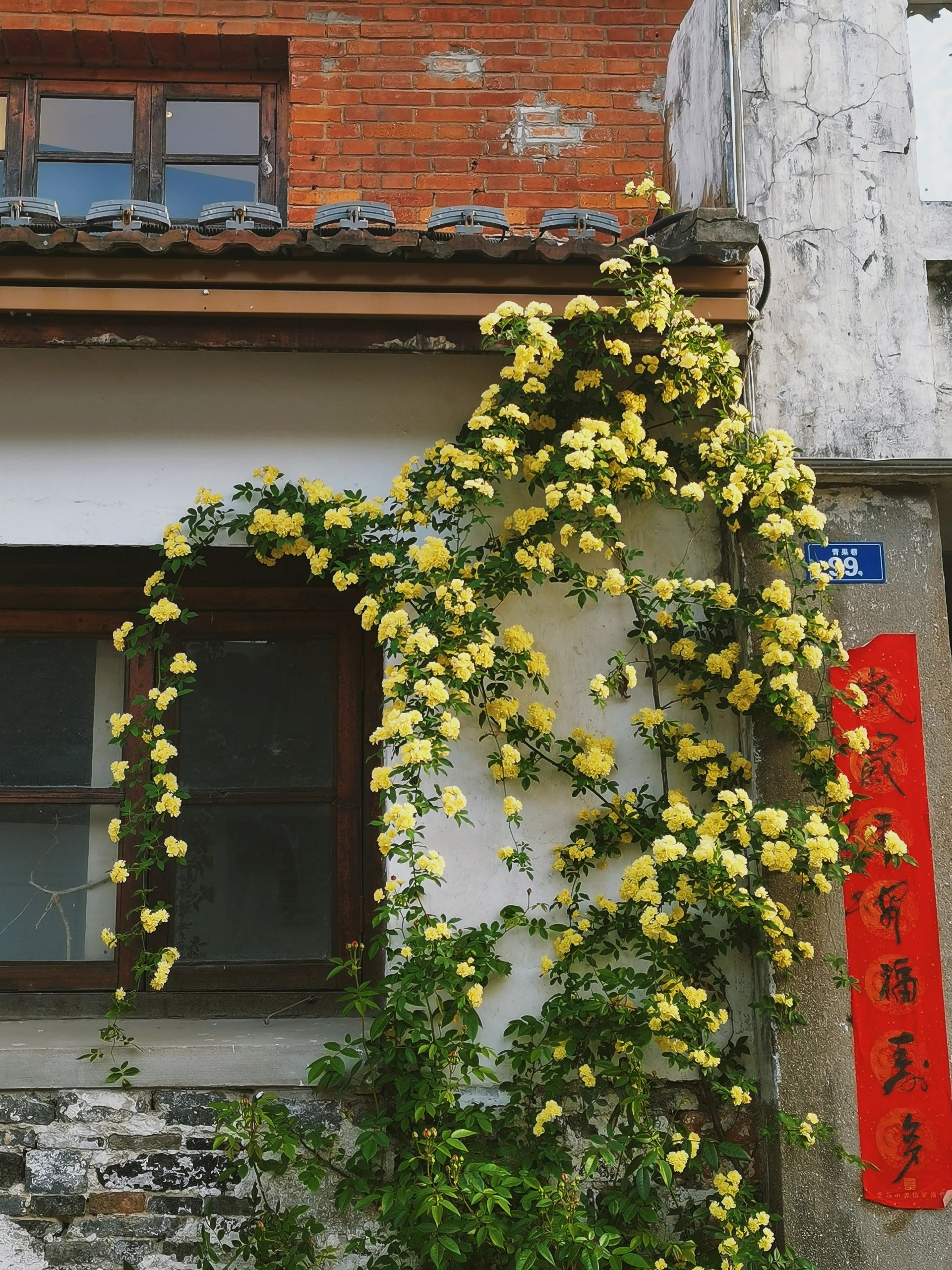 旅行之常州市区保姆级旅游攻略