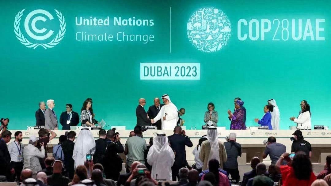 联合国气候变化大会精彩直击 中国防沙治沙新方案让世界惊叹