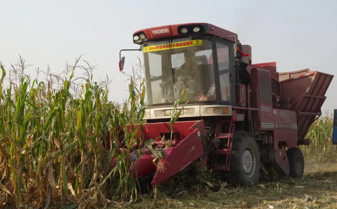 “你这么坏，良心不痛吗？”山西临汾，男子开贷款30万买的收割机，给村民收玉米，只