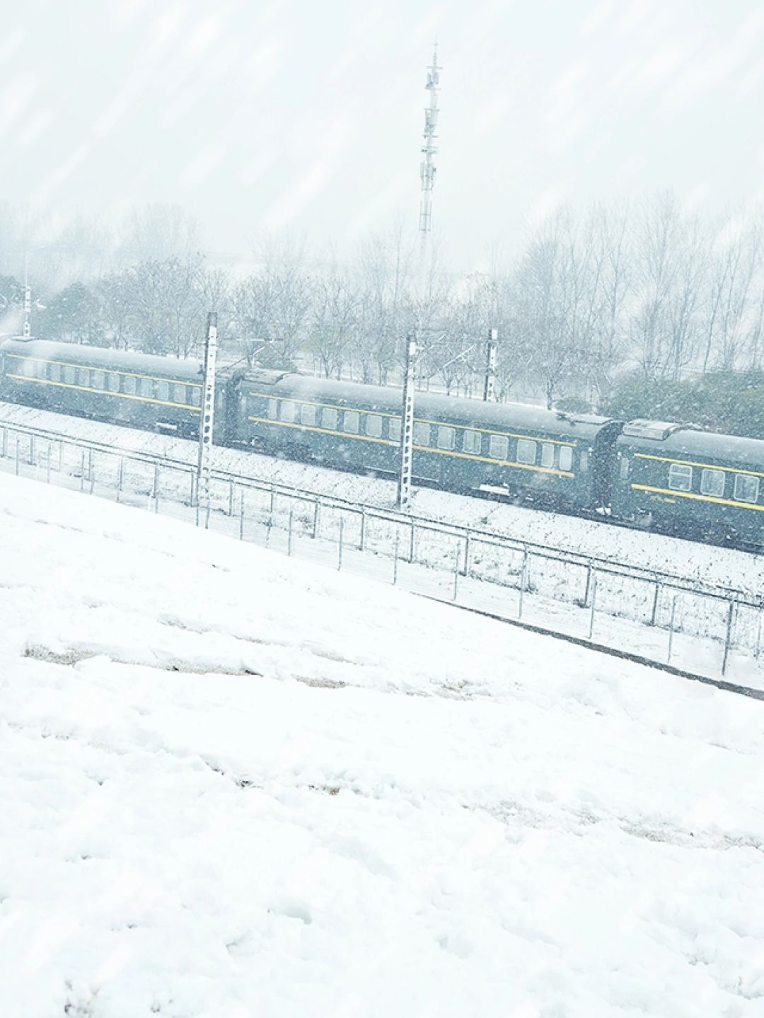 大长沙湘江边专属雪国列车🚂