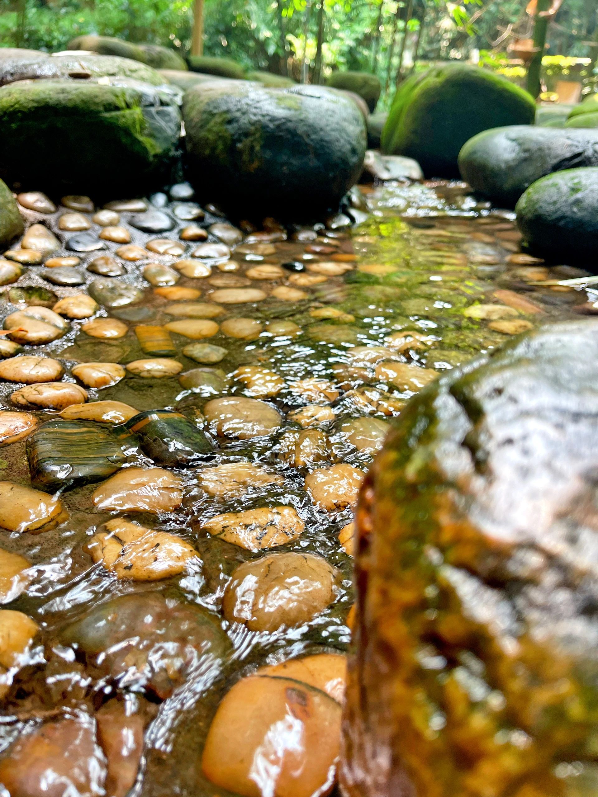夏天的正确打开方式-花都溯溪玩