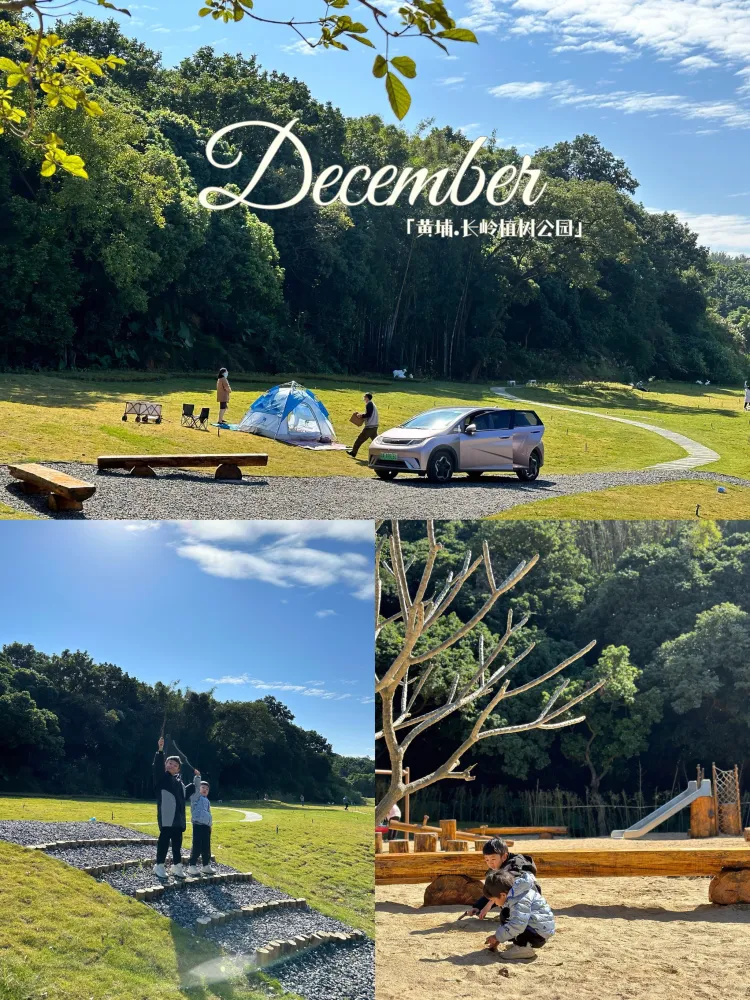 黄埔区这个新开的露营公园，太美啦!