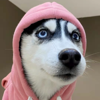 千蛛
