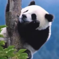 骑着毛驴看历史