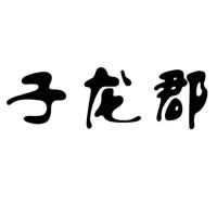 王者之徒桂阳子龙