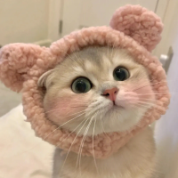 朝暮故事