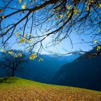 视野带你旅行去