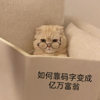 十六公子