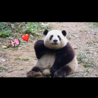 金多情爱读书
