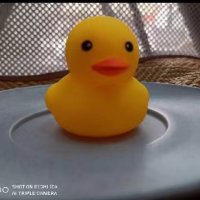 不会说话的董先生