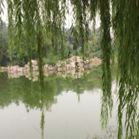 沉甸甸的感慨