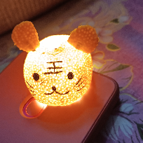 双标准