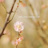 金陵公益在线