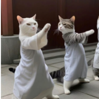三脚猫侃球