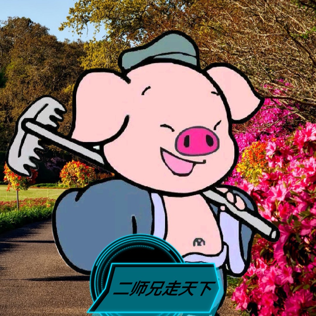 二师兄走天下