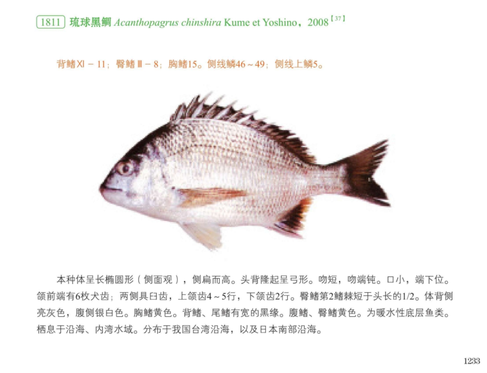 【四张网两条鱼一个上午】吸引人赶海自媒体和渔民记录工作场景，真的不一样。昨天看一