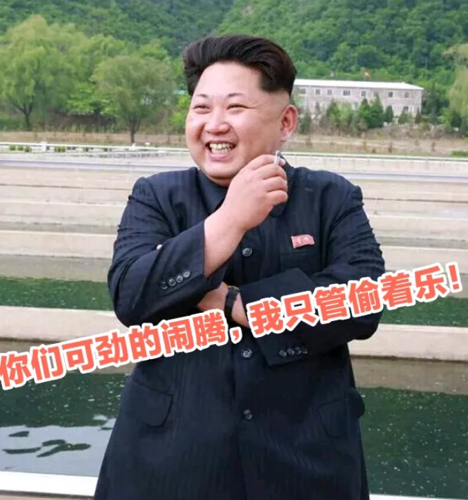 因逮捕尹锡悦未果，韩国内乱加据。奇怪的是，一向虎视耽耽，伺机而动的80后，这次却