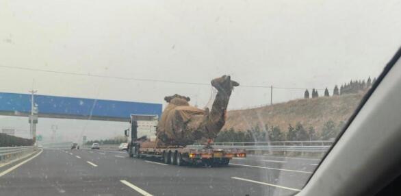 这又是哪位少爷的大玩具到了？