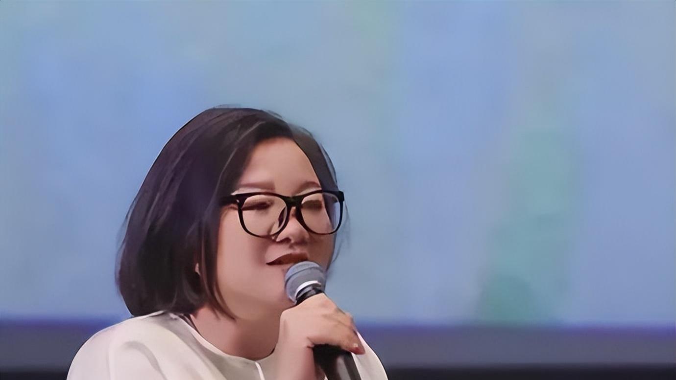 这一次，内娱所谓的“体面”，被洪晃撕了个稀碎