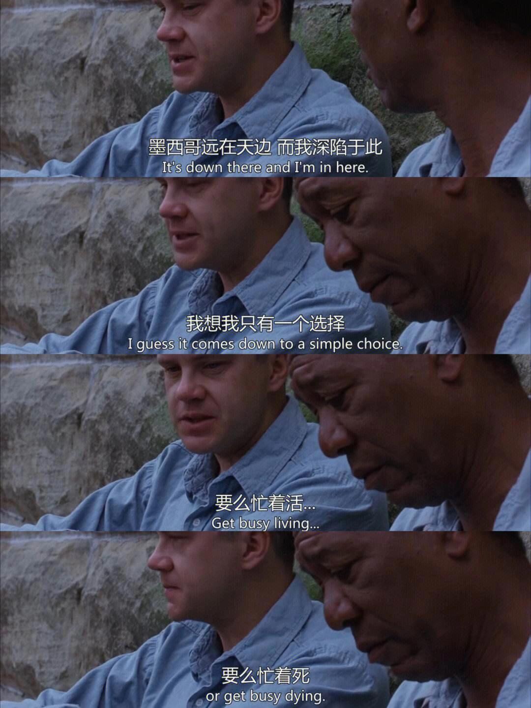 坚韧与希望的绝美叙事