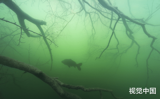 池塘里闹鬼，牵扯出一段陈年旧怨
