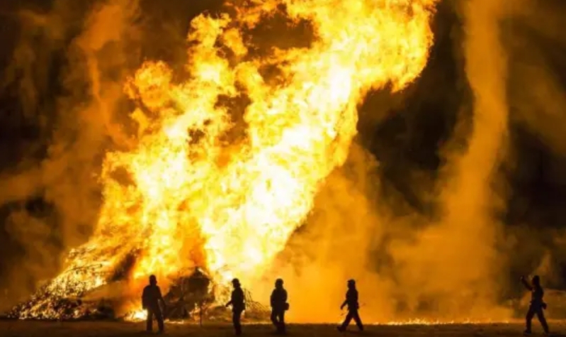 美国加州人民为什么不自发的组织起来救自己的家园，为什么宁可逃离也不奋力保卫自己的