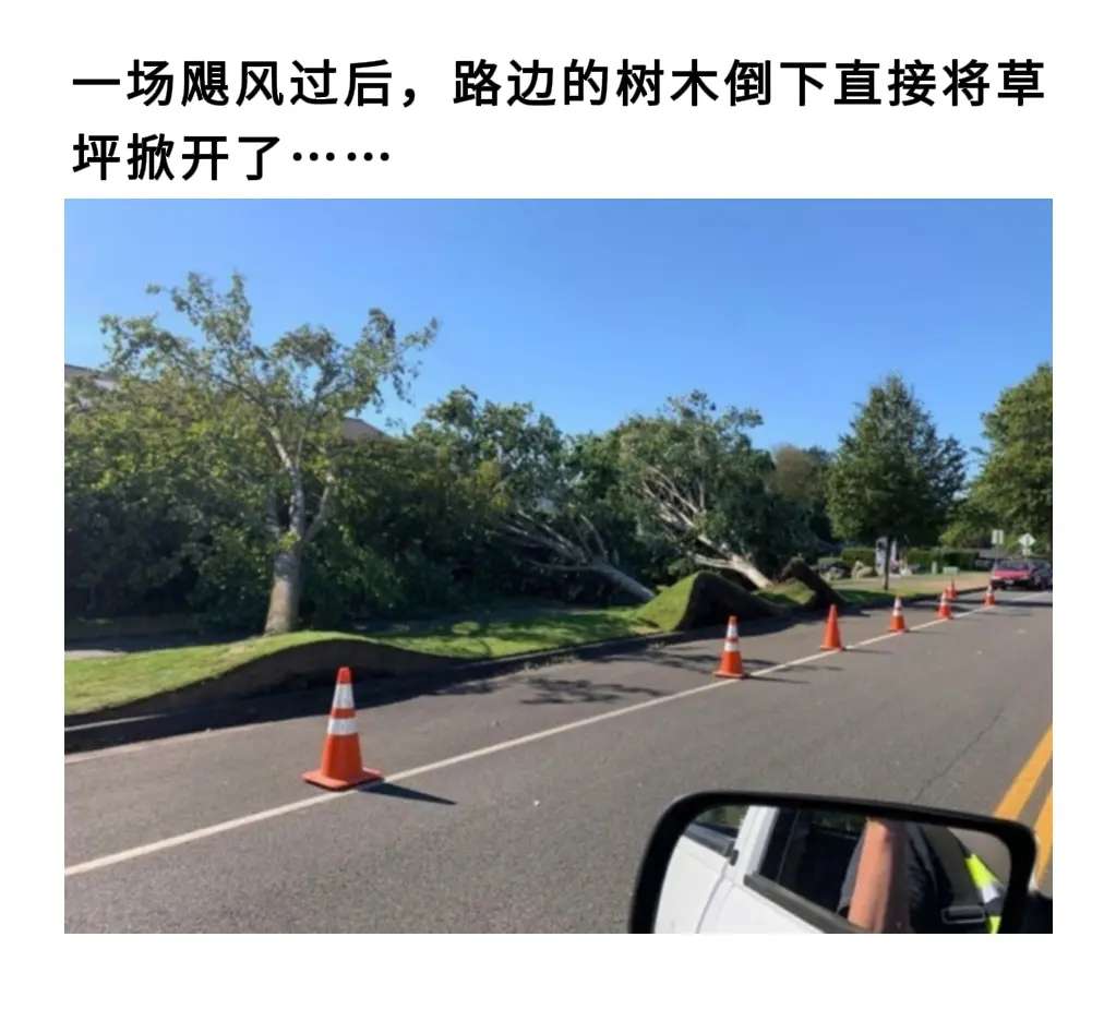草坪都掀开了