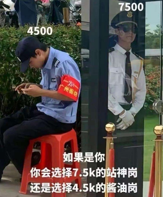 如果是你会怎么选？
