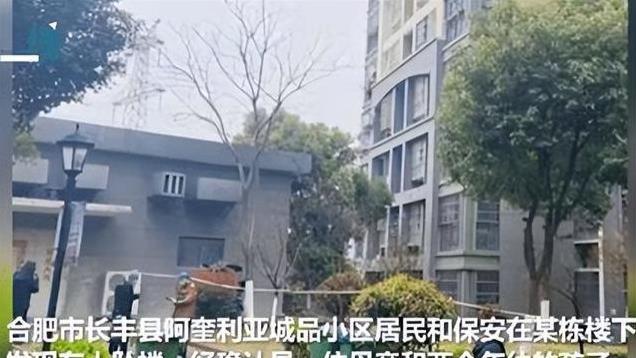 长期遭受家暴，一天仅20元生活费，写遗书后她抱着儿女从24楼跳下