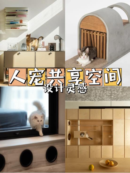 年轻人装修最看重什么？