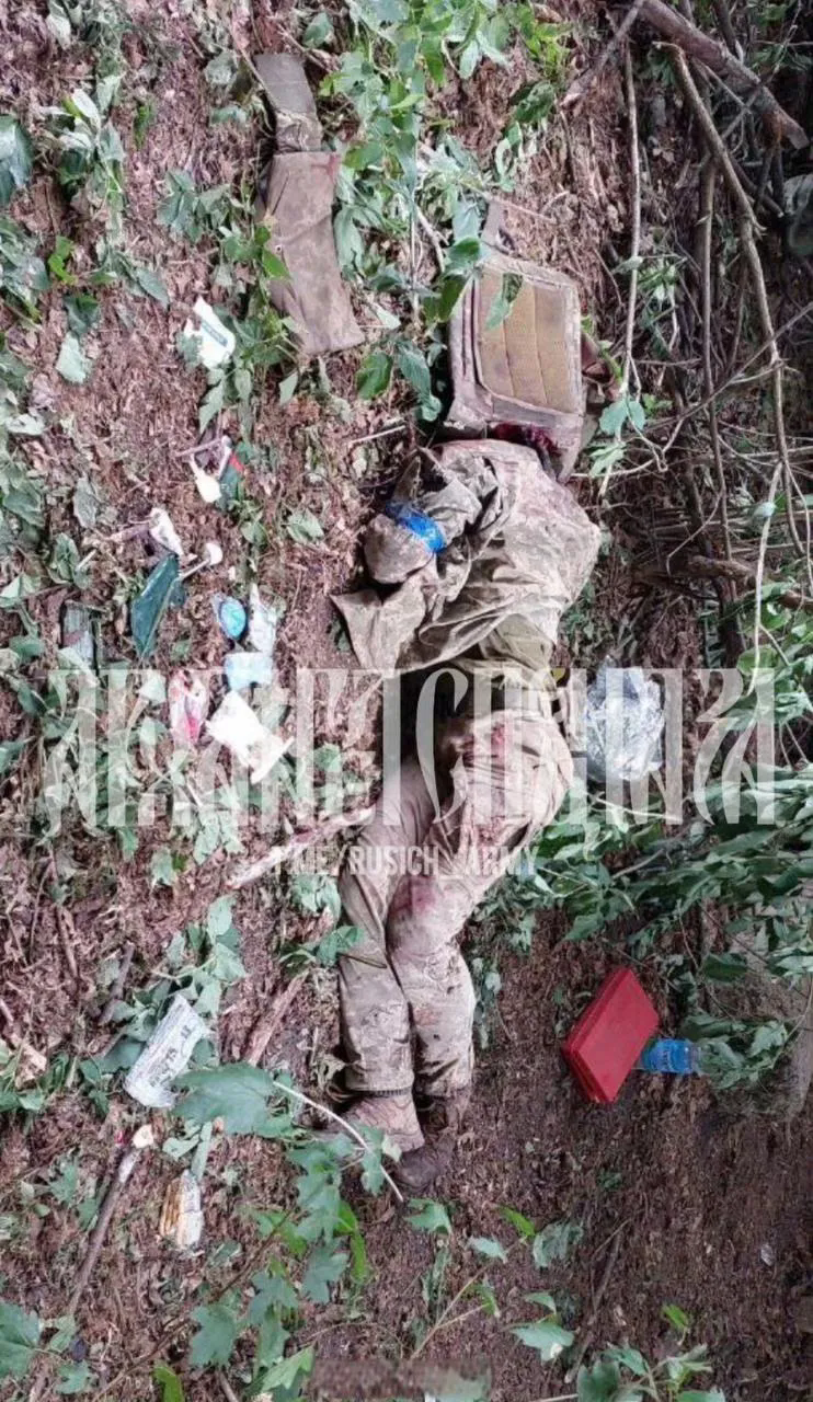 这就是乌克兰那1.2万士兵在库尔斯克作战的其中几个乌克兰士兵，头都被打没了。俄军
