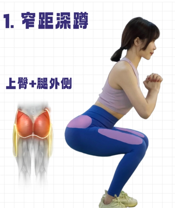 3种站距深蹲针对不同肌群