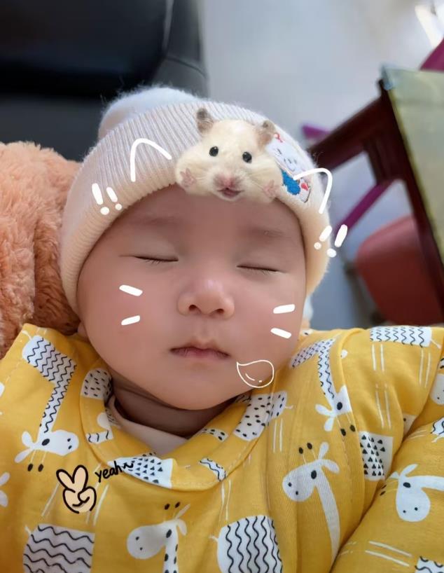 网友们用你们吃的食物给取个小名吧，我是个女宝呀