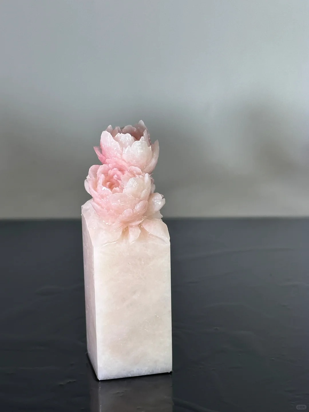 它们总会让我感叹造物之美
好喜欢这种相互依靠的感觉