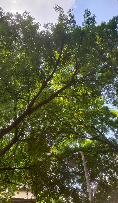 我一个朋友实在忍不了她妈了，都53岁了学人家二婚，给她找个36岁的继父不说，还给