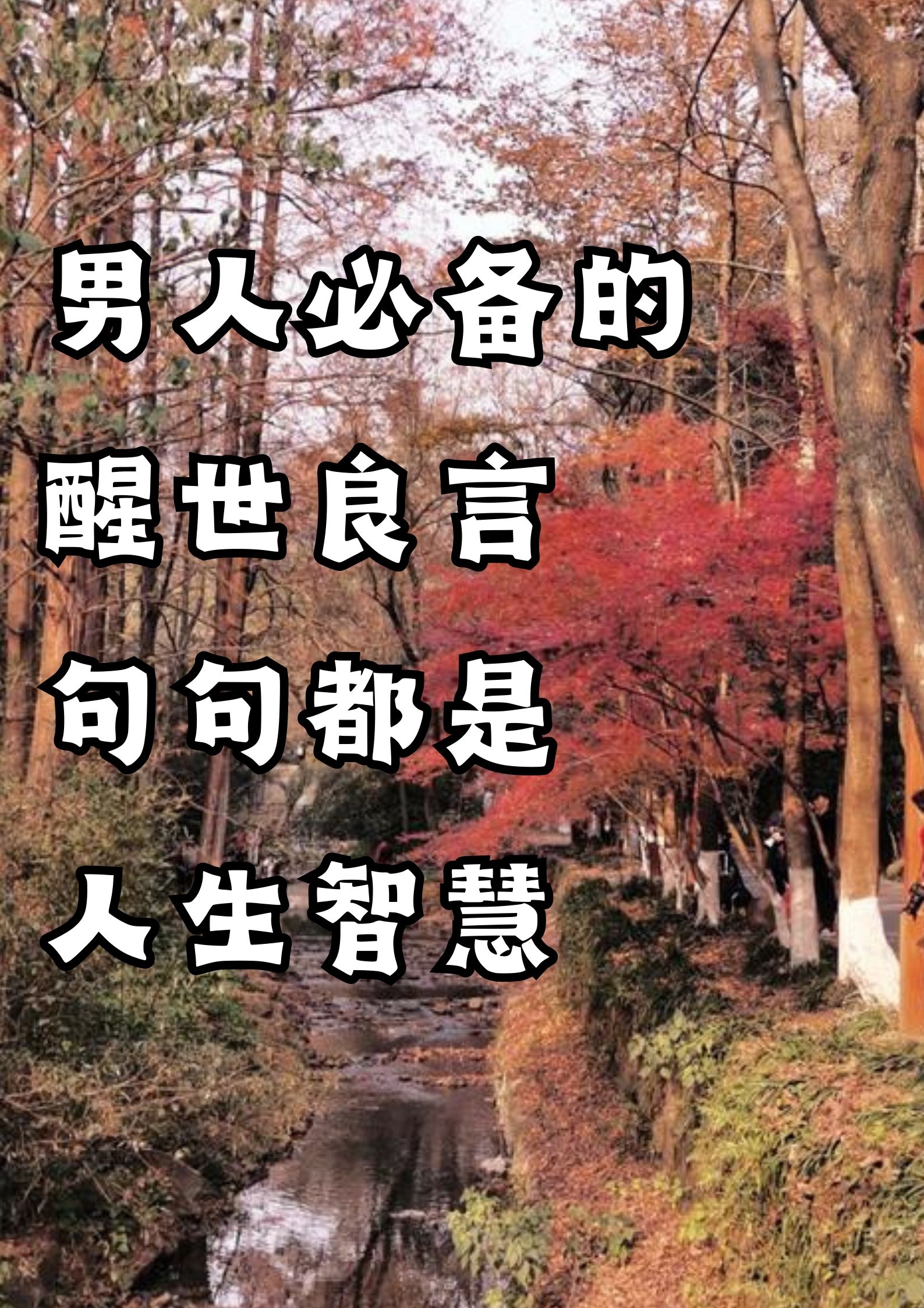 男人必备良言，句句都是人生智慧！